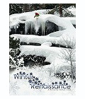 Winter Renaissance